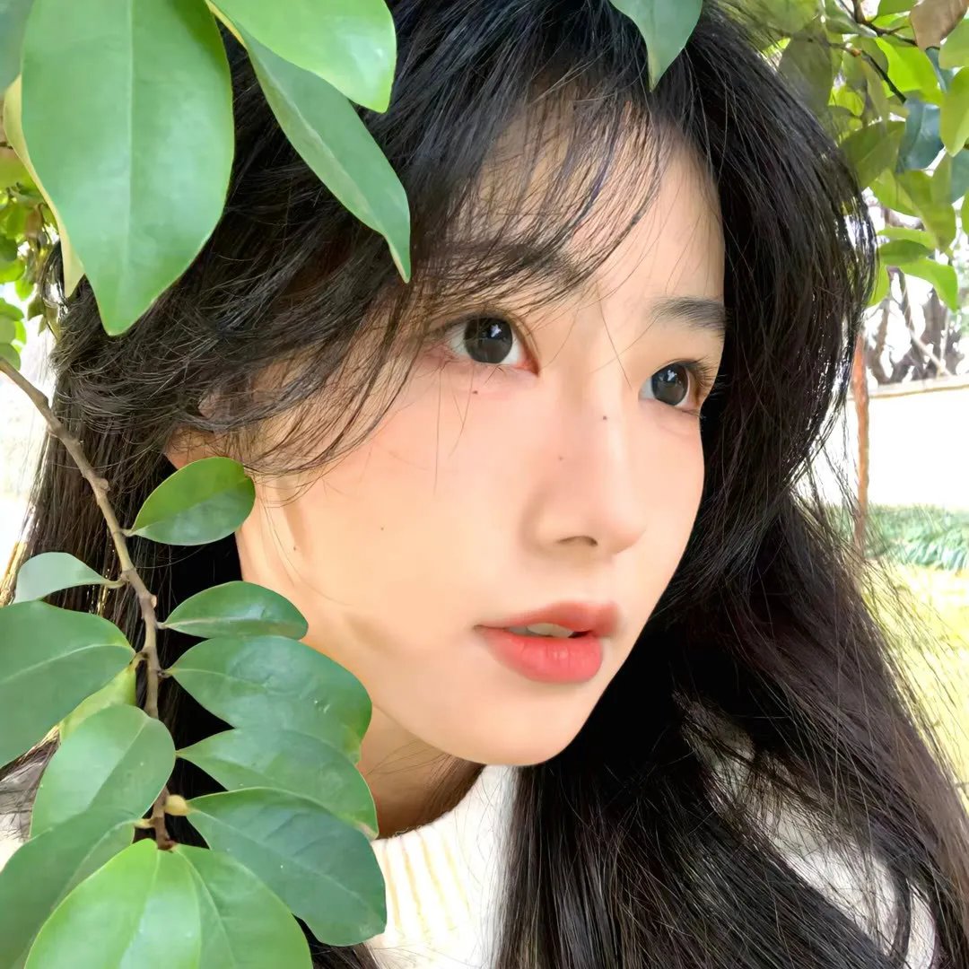 庐山假面目